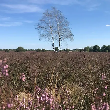 Appartamento Calluna Buchholz in der Nordheide